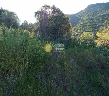 Αγροτεμάχιο 11200τ.μ. προς πώληση φωτογραφία 4160777
