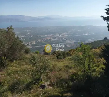 Αγροτεμάχιο 2318τ.μ. προς πώληση φωτογραφία 4161606