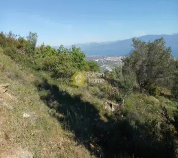 Αγροτεμάχιο 2318τ.μ. προς πώληση φωτογραφία 4161602