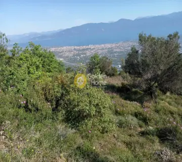 Αγροτεμάχιο 2318τ.μ. προς πώληση φωτογραφία 4161605