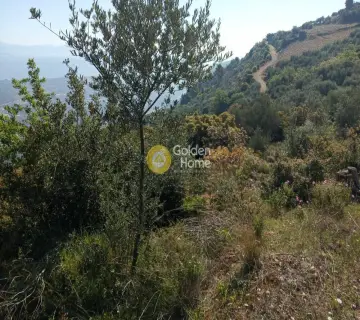 Αγροτεμάχιο 2318τ.μ. προς πώληση φωτογραφία 4161603