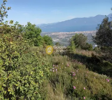 Αγροτεμάχιο 2318τ.μ. προς πώληση φωτογραφία 4161601