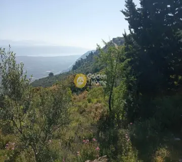 Αγροτεμάχιο 2318τ.μ. προς πώληση φωτογραφία 4161600