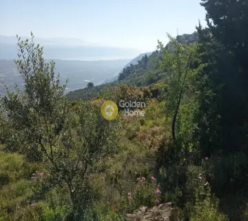 Αγροτεμάχιο 2318τ.μ. προς πώληση φωτογραφία 4161599