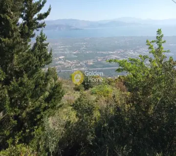 Αγροτεμάχιο 2318τ.μ. προς πώληση φωτογραφία 4161598