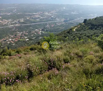 Αγροτεμάχιο 1500τ.μ. προς πώληση φωτογραφία 4161740