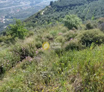 Αγροτεμάχιο 1500τ.μ. προς πώληση φωτογραφία 4161741