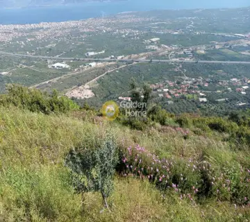 Αγροτεμάχιο 1500τ.μ. προς πώληση φωτογραφία 4161742