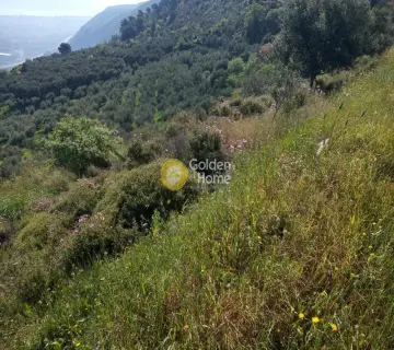 Αγροτεμάχιο 1500τ.μ. προς πώληση φωτογραφία 4161744