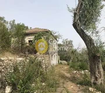 Residential 6700m<sup>2</sup> for sale photo 5