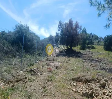 Parcel 8500m<sup>2</sup> for sale photo 8