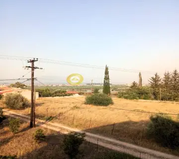 住宅 600m<sup>2</sup> for sale photo 3