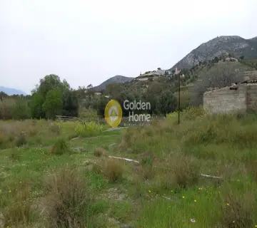 Golden Home Property Image