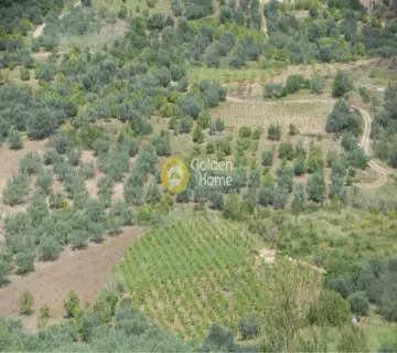 Parcel 8200m<sup>2</sup> for sale photo 4174482