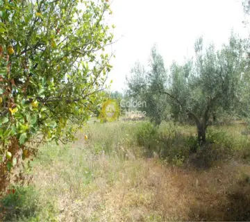 Parcel 8200m<sup>2</sup> for sale photo 4174485