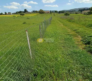 Αγροτεμάχιο 2774τ.μ. προς πώληση φωτογραφία 4172466