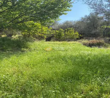 Residential 1500m<sup>2</sup> for sale photo 3