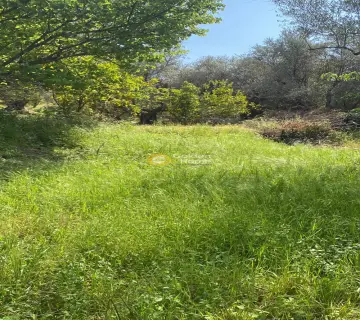 Residential 1500m<sup>2</sup> for sale photo 4