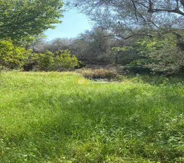 Residential 1500m<sup>2</sup> for sale photo 6