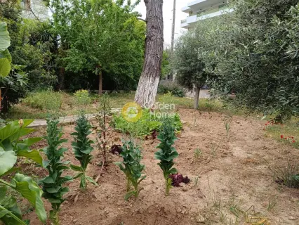 Οικιστικό 330τ.μ. προς πώληση φωτογραφία 10