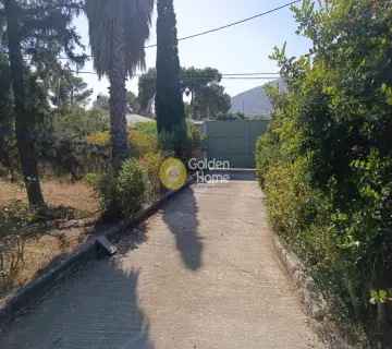 Μονοκατοικία 217τ.μ. προς πώληση φωτογραφία 25
