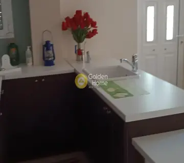 Μονοκατοικία 217τ.μ. προς πώληση φωτογραφία 18