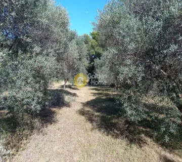 Μονοκατοικία 217τ.μ. προς πώληση φωτογραφία 37