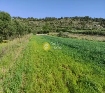 Residential 2788m<sup>2</sup> for sale photo 1