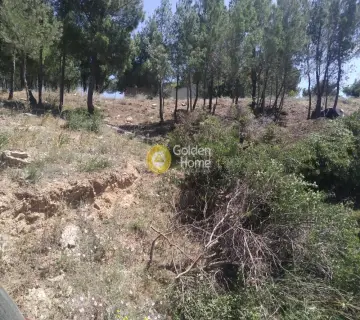 Οικιστικό 502τ.μ. προς πώληση φωτογραφία 4174039