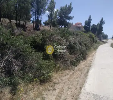 Οικιστικό 502τ.μ. προς πώληση φωτογραφία 4174054