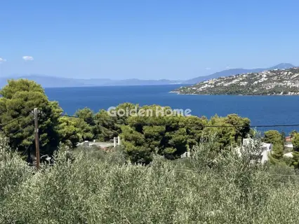 Διαμέρισμα 74τ.μ. προς πώληση φωτογραφία 5634670