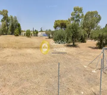Residential 2134m<sup>2</sup> for rent photo 4197167