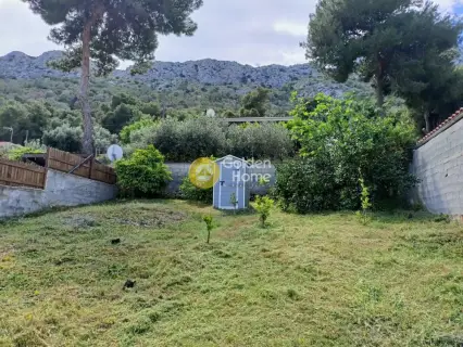 Residential 322m<sup>2</sup> for sale photo 5