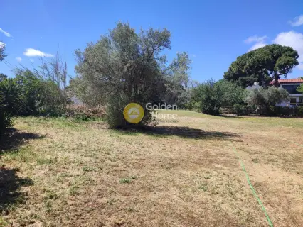 Residential 1500m<sup>2</sup> for sale photo 3