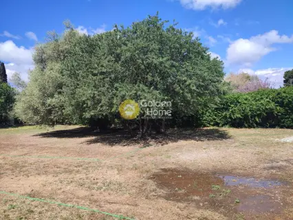 Residential 1500m<sup>2</sup> for sale photo 4