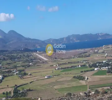 Αγροτεμάχιο 6765τ.μ. προς πώληση φωτογραφία 8