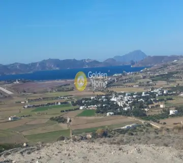 Αγροτεμάχιο 6765τ.μ. προς πώληση φωτογραφία 7