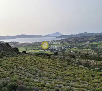 Αγροτεμάχιο 16518τ.μ. προς πώληση φωτογραφία 4201685