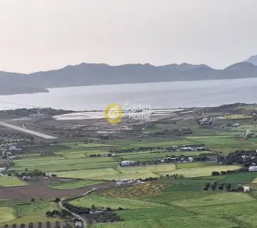 Αγροτεμάχιο 16518τ.μ. προς πώληση φωτογραφία 4201686