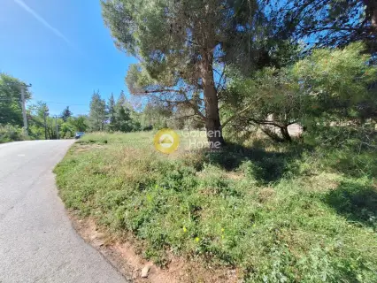 Residential 1362m<sup>2</sup> for sale photo 4193288
