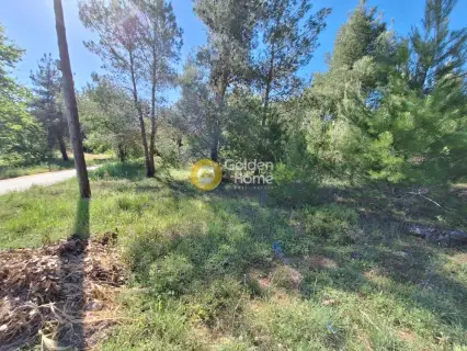 Residential 1362m<sup>2</sup> for sale photo 4193294