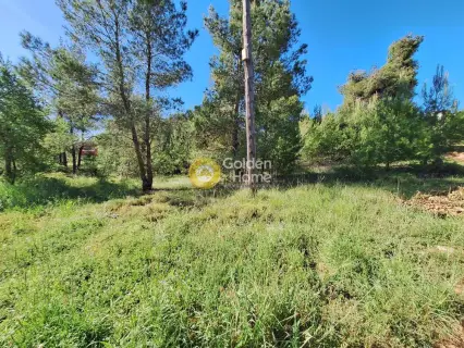 Residential 1362m<sup>2</sup> for sale photo 4193295