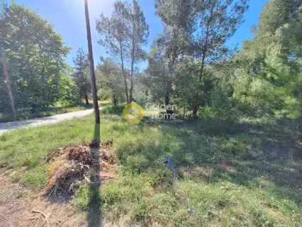 Residential 1362m<sup>2</sup> for sale photo 4193296