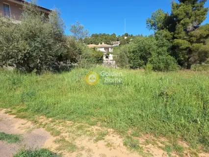 Residential 1362m<sup>2</sup> for sale photo 4193297