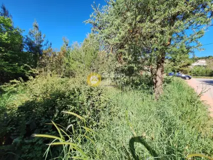 Residential 1362m<sup>2</sup> for sale photo 4193299