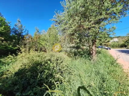 Residential 1362m<sup>2</sup> for sale photo 4193301
