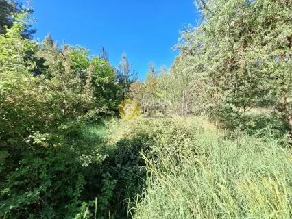 Residential 1362m<sup>2</sup> for sale photo 4193302