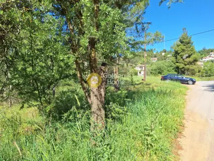 Residential 1362m<sup>2</sup> for sale photo 4193303