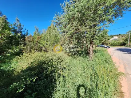 Residential 1362m<sup>2</sup> for sale photo 4193304