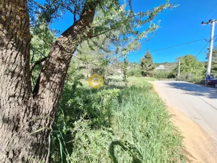 Residential 1362m<sup>2</sup> for sale photo 4193306